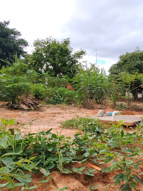 1cb0ce2d-0e5a-407d-a2ad-af27efdacb89