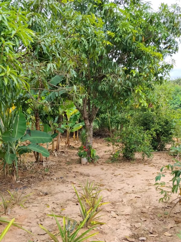 290d868b-80f4-4525-99f9-df56379d1afe