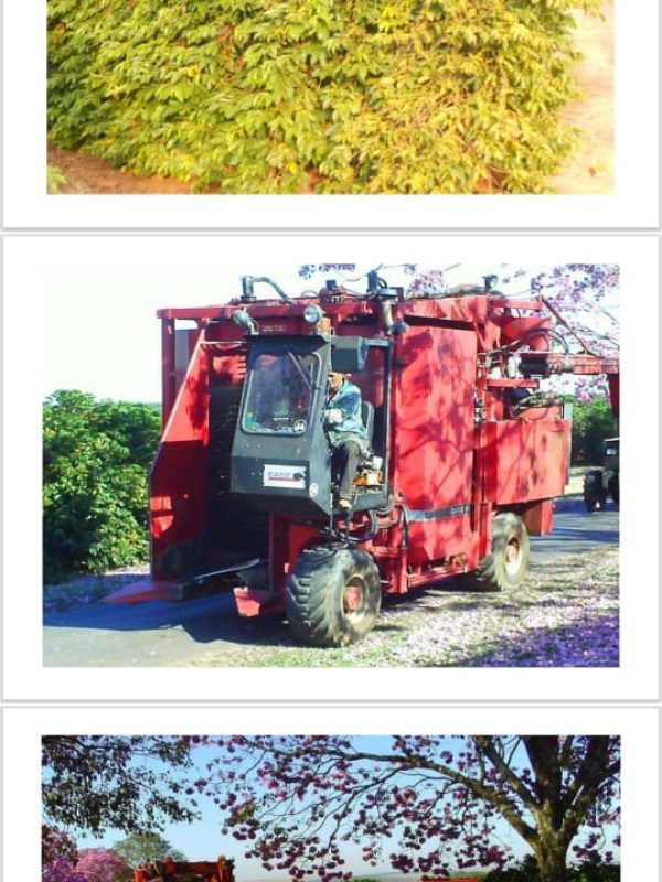 29a73c00-96b8-4d06-a221-98097a9226f2