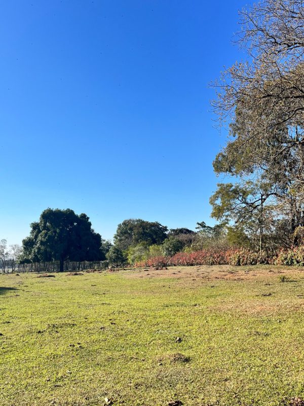 2d068115-8dcc-4d25-98ee-12930ea736bb