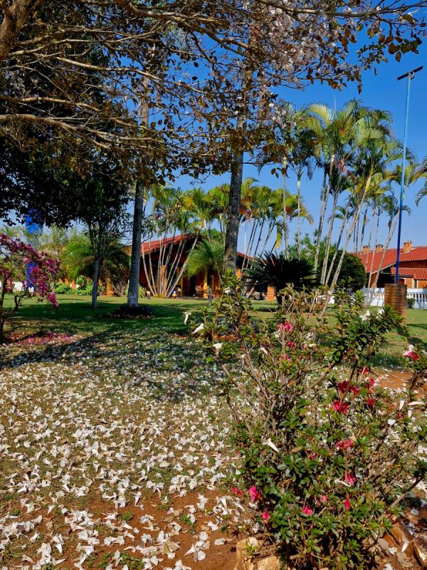 32c50833-8cba-4ce6-aca5-aa22faeb941c