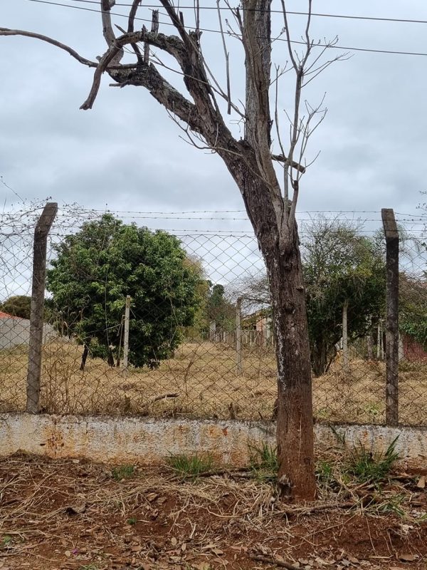 364160698_743435904454768_4589854657442356138_n