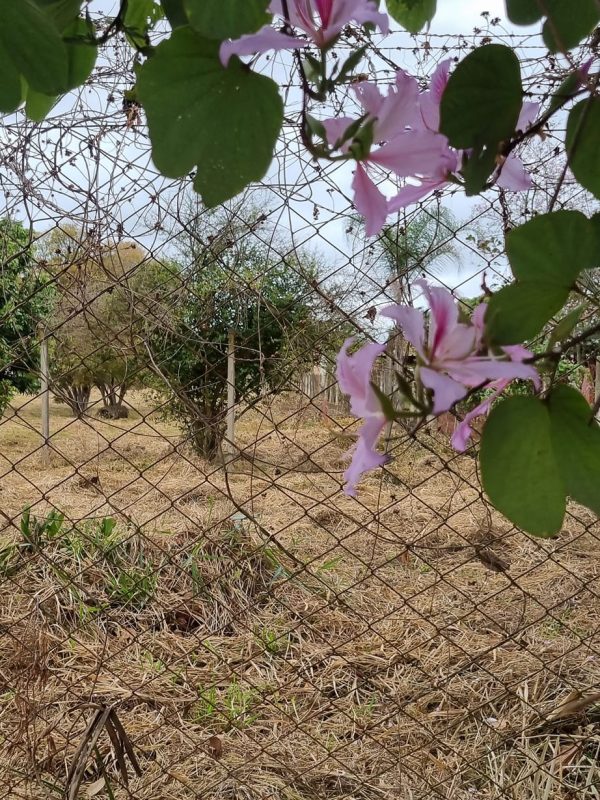 364160712_743435764454782_6741253188686482491_n (1)