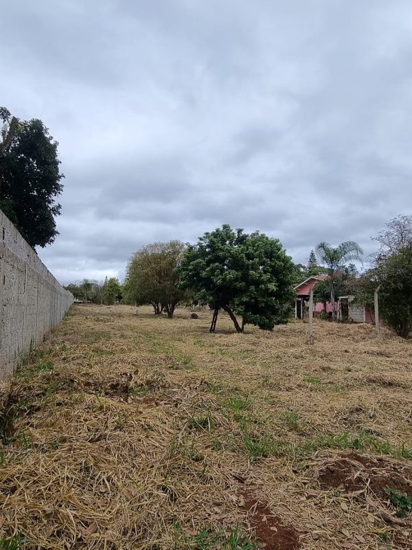 364208233_743435841121441_3123599971543561215_n