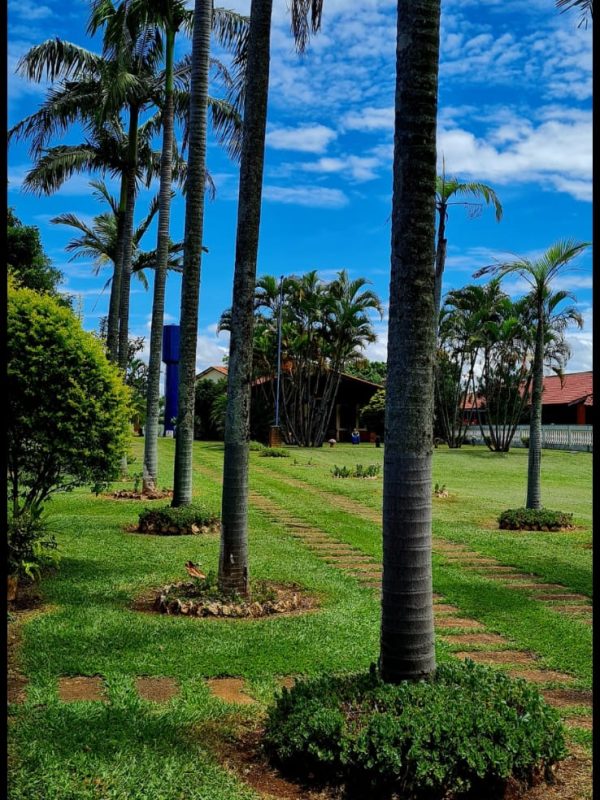 37da361b-22f1-4cc4-a4be-b084a341f7f3