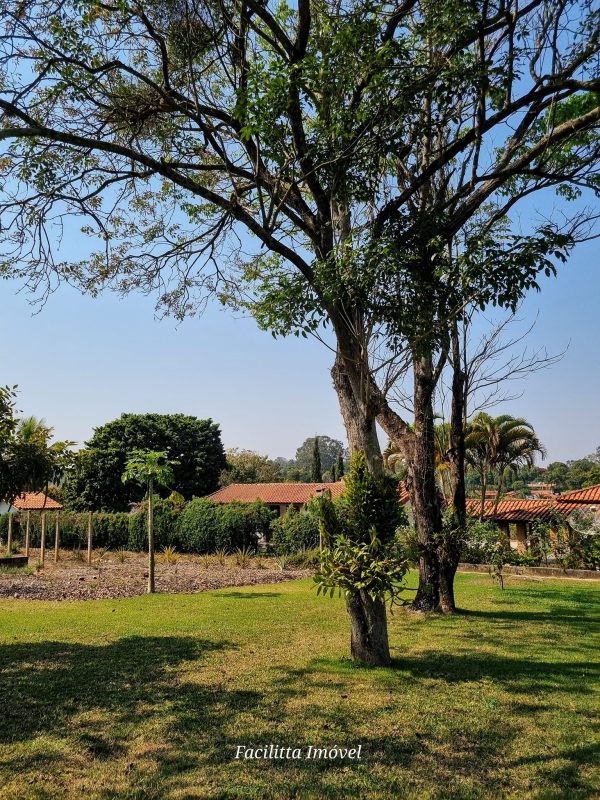 455638060_1007111641420525_7607998285777324169_n