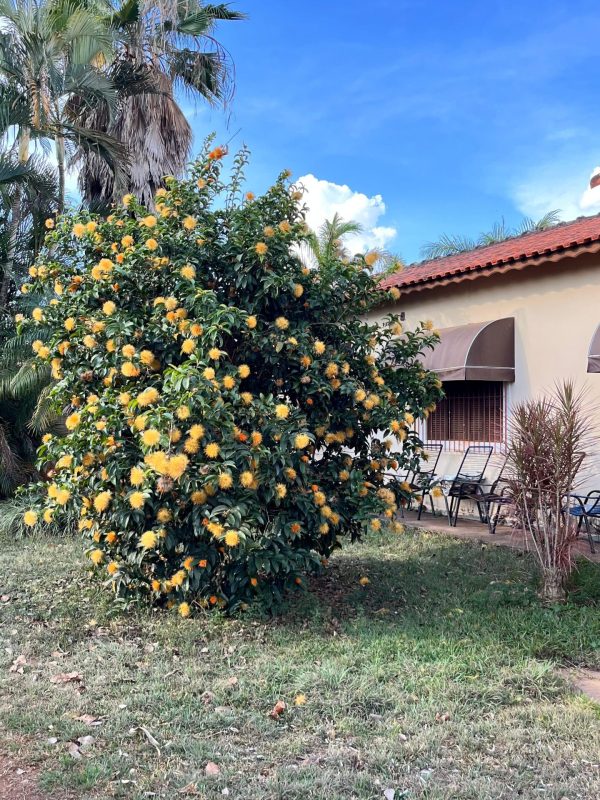 462a3c88-8895-4391-a0b2-a4de58d3019f