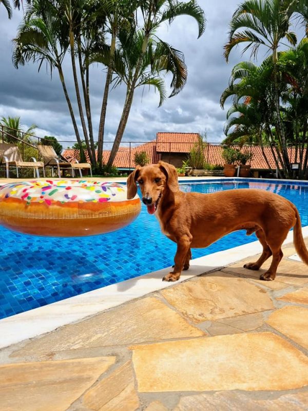 473009588_1602644813747206_2199750307476341984_n