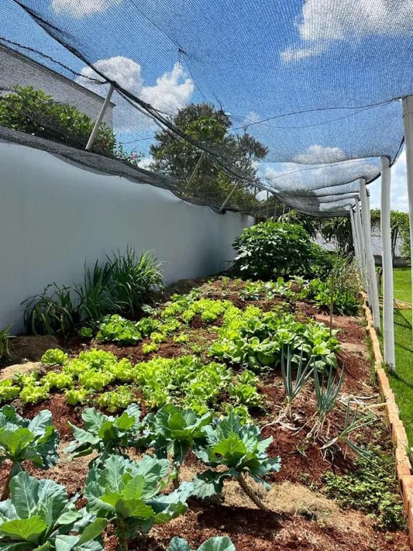 490530982_1201509725314048_997591455839045818_n