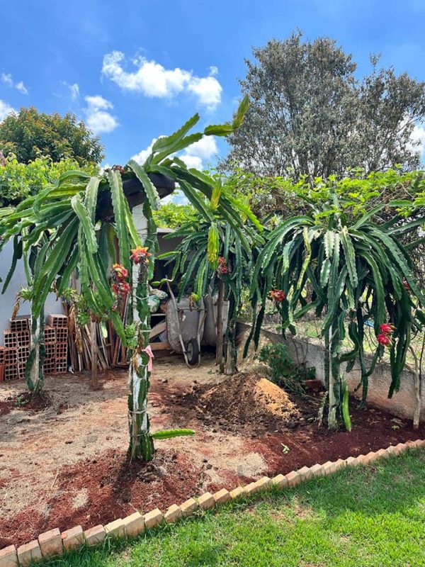 491727165_1201509695314051_331008778909813019_n