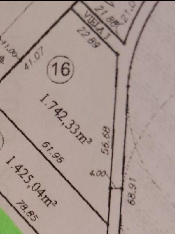 491759792_1202510005214020_6141474841782569259_n