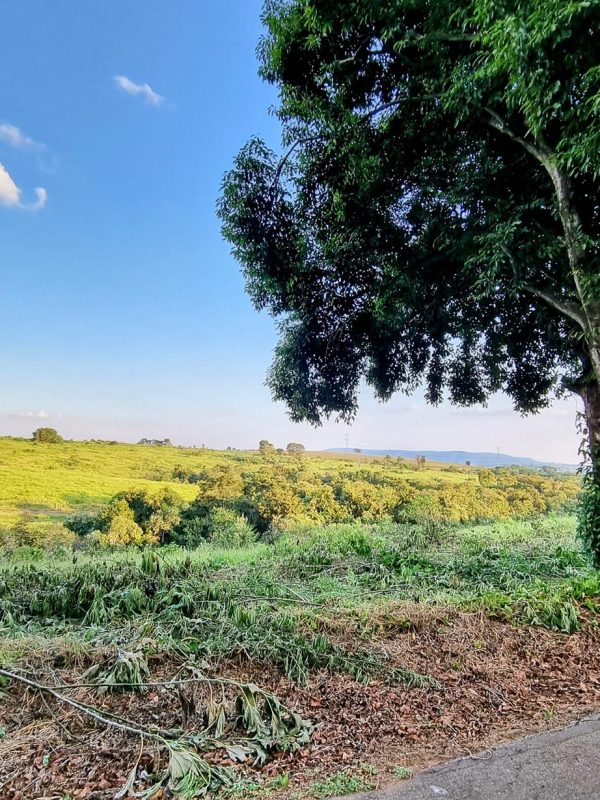 491762293_1202509845214036_5377875406520732036_n