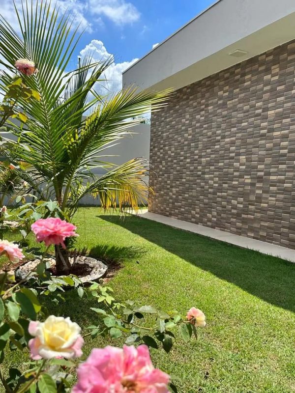 491924594_1201509908647363_2729947064990670760_n