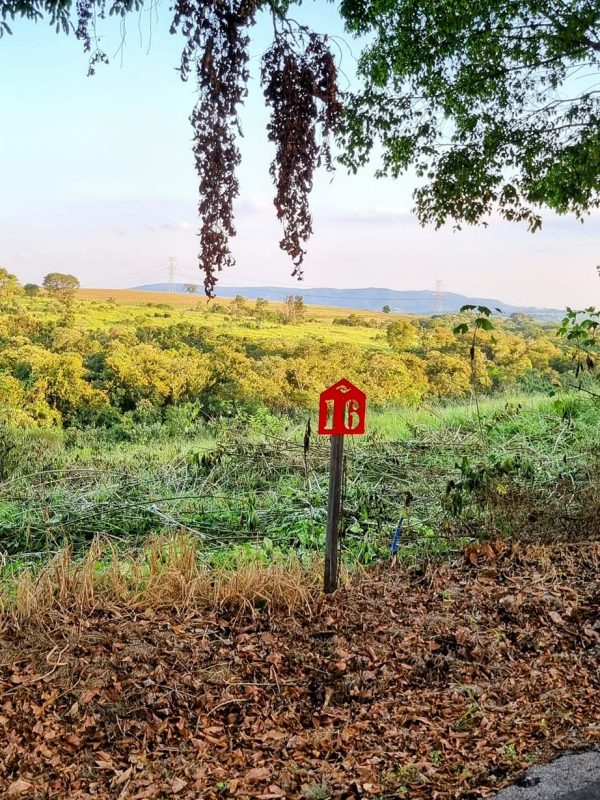 492005927_1202509708547383_2595692489711839605_n