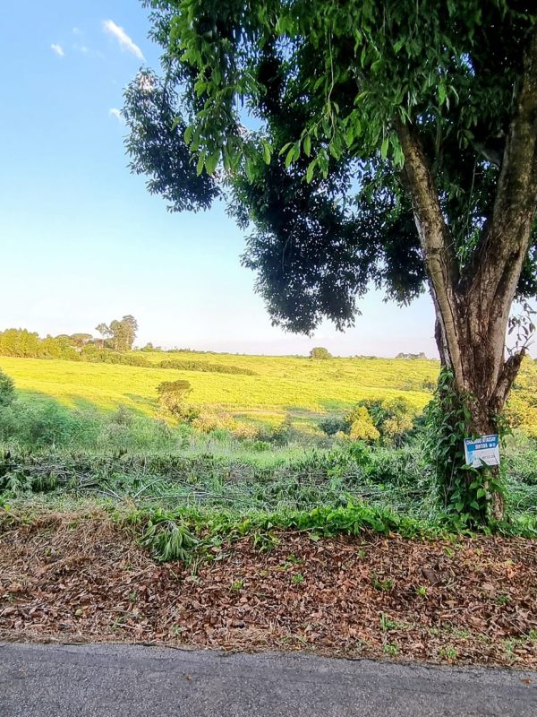 492160094_1202509691880718_3148951464873086250_n