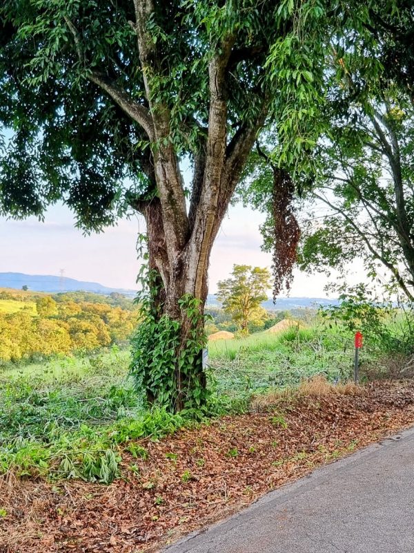 492197540_1202509935214027_865942088746700213_n