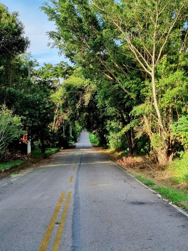 493023988_1209377784527242_4552753616740440586_n