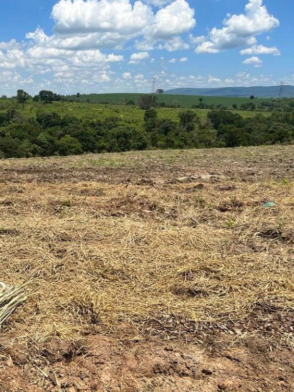 493069628_1209377627860591_8074925550817329778_n