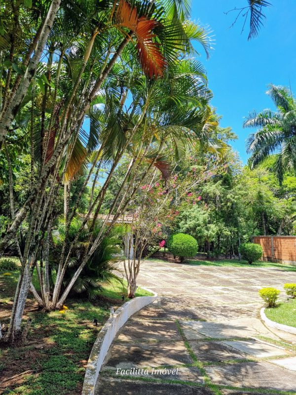 494644734_1215884863876534_1290313174730240607_n