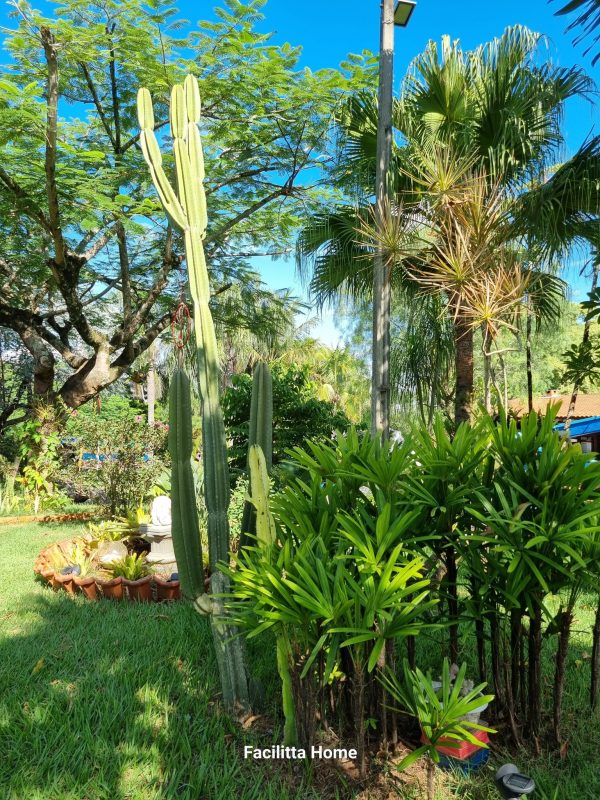 495177196_1223040933160927_7286904379048798103_n