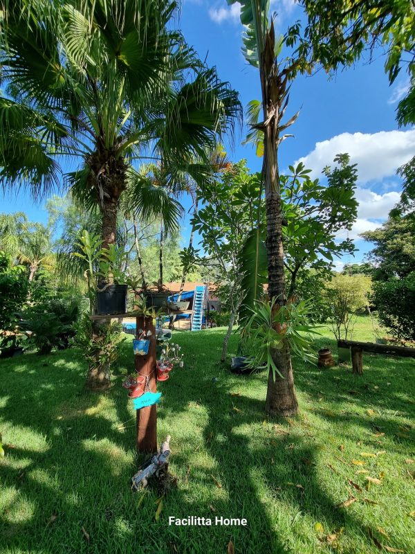 495960019_1223040789827608_7497448305752415566_n