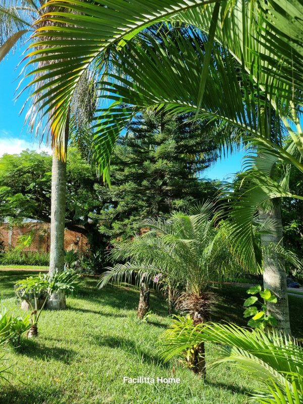 496859476_1223040909827596_2422528018927243293_n