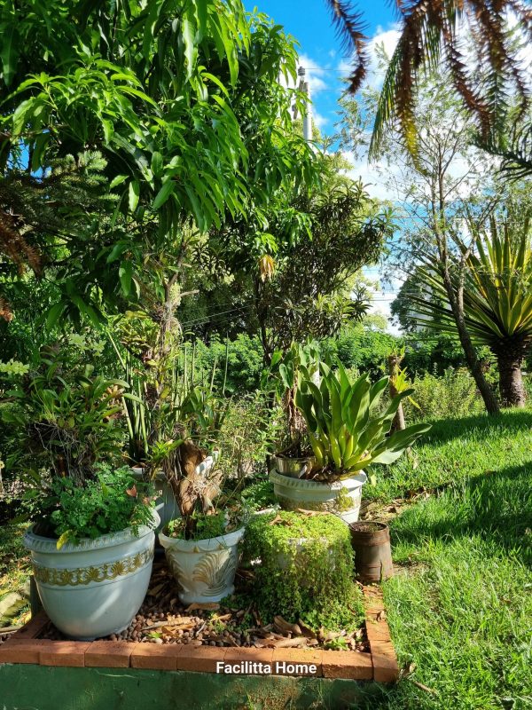 496942845_1223040926494261_8216492791150610936_n