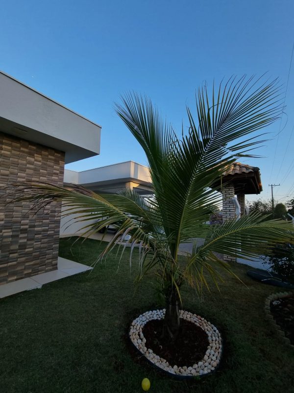 504378045_18055695836361605_8113749563915708164_n