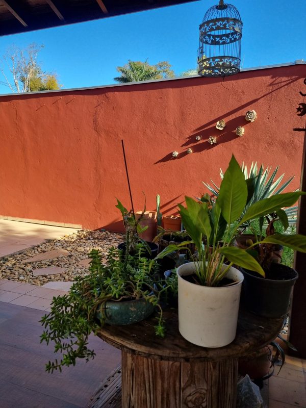 508681770_1259107799554240_9183667936606441791_n