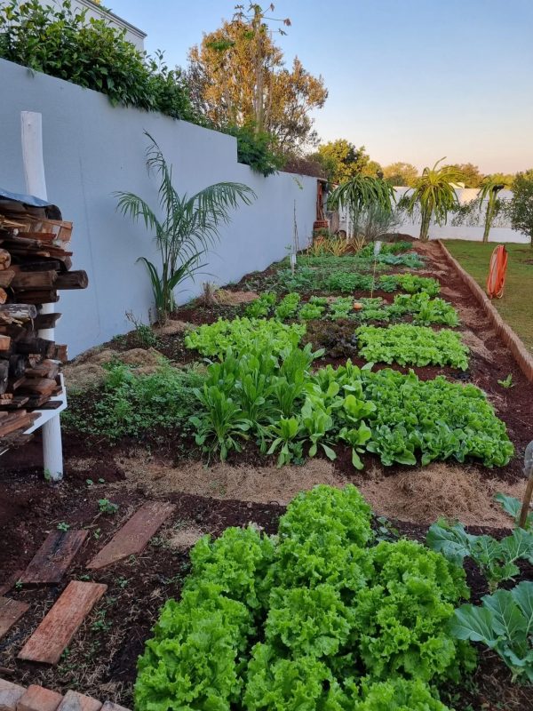 514029417_18055695980361605_7874903358860440209_n