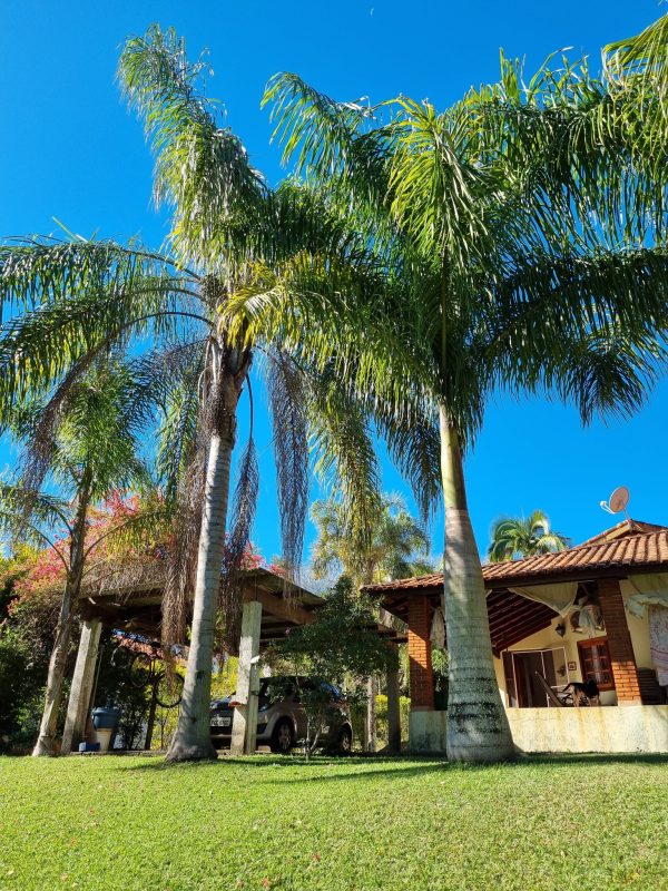 518403807_1295362295928790_3767181884483052244_n