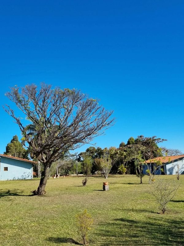 525312782_18058580999361605_5389725245307361527_n