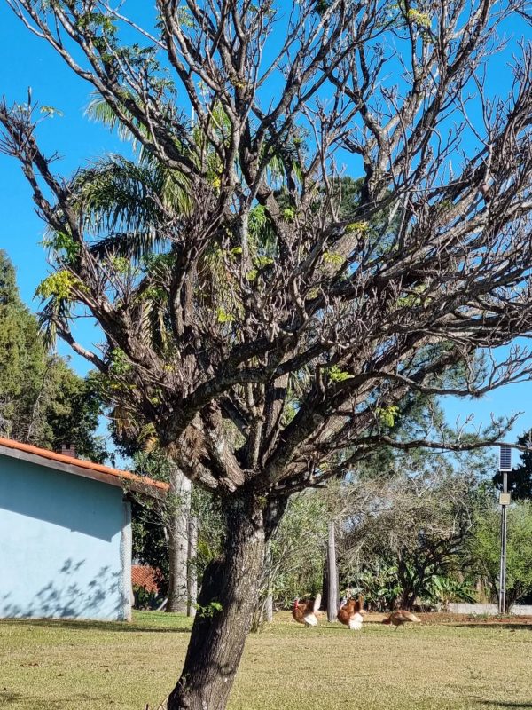 526620138_18058580987361605_3918522952738272217_n