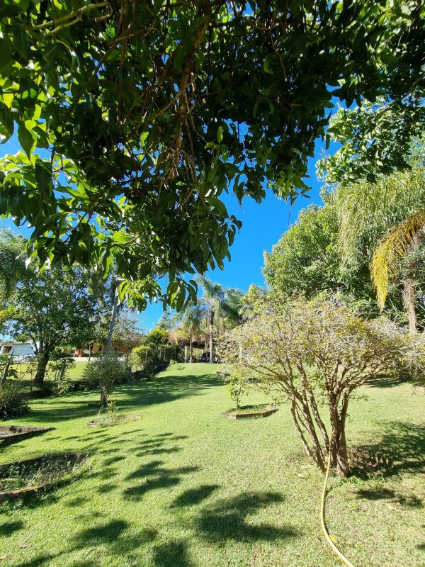 526656724_1295362549262098_8183428092604520979_n