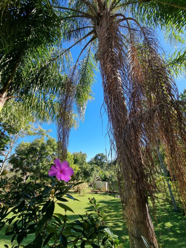 526697594_1295362762595410_3612616680665955796_n