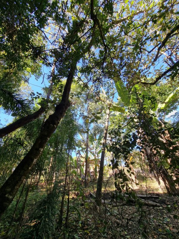 526776480_1295362459262107_3190229781868693054_n