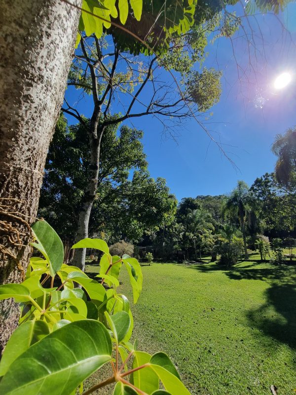 526810626_1295362322595454_3845148807314754469_n