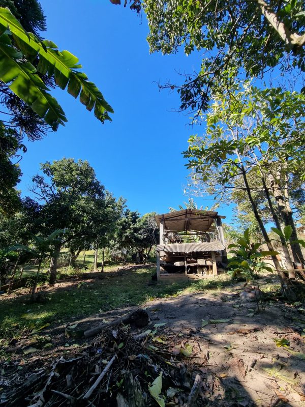 526992508_1295362505928769_5528758472257319645_n