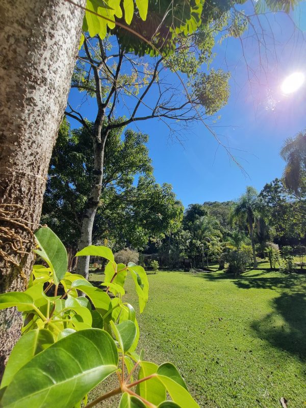 527024064_1295362712595415_3488681072089656963_n