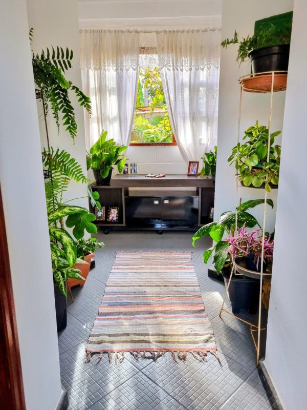 527091555_1296672922464394_5154532736399803593_n