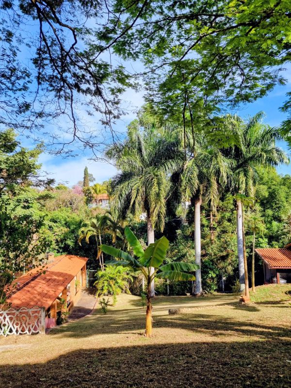 527185224_1296673535797666_2513774467822994695_n