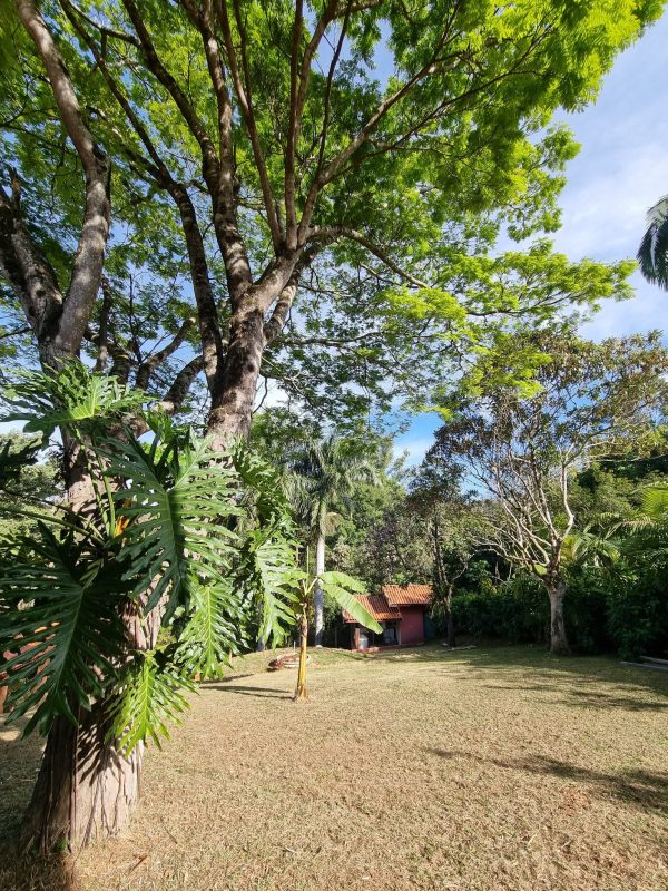 527338347_1296673509131002_1505033735942436509_n