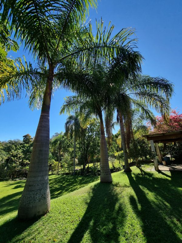 527531861_1295362615928758_5186254953941930925_n