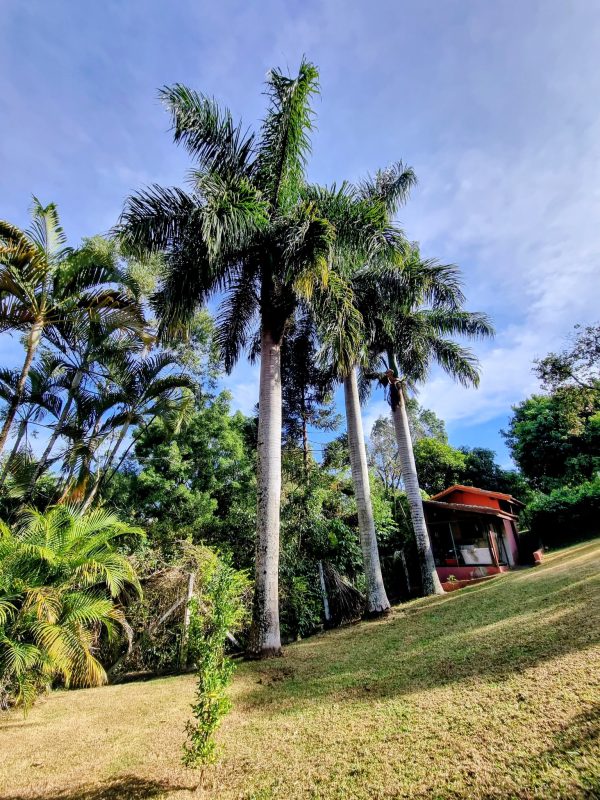 527576759_1296673285797691_3108147344320456792_n