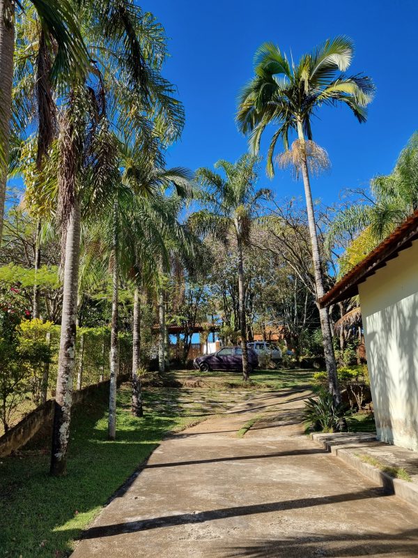 527773177_1295362679262085_1533282379524025791_n