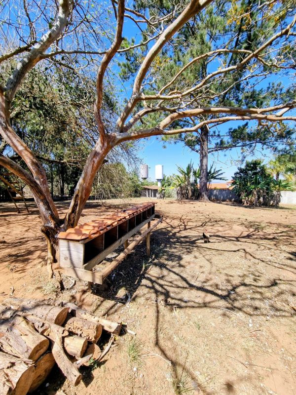 532232981_1308364091295277_9098422038183250247_n