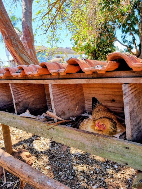 532531572_1308364177961935_2033609239405063692_n