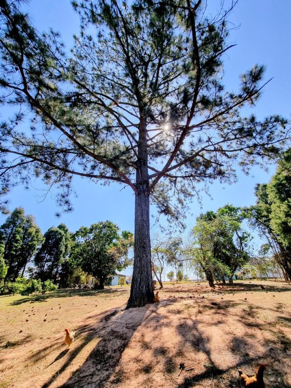 532618352_1308363704628649_256608299591555684_n