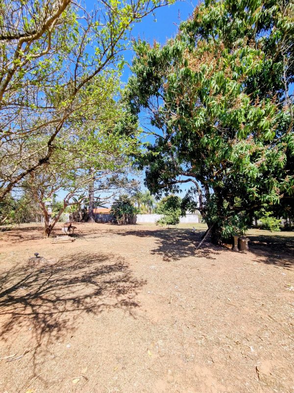 532654092_1308364034628616_5620459961681490707_n