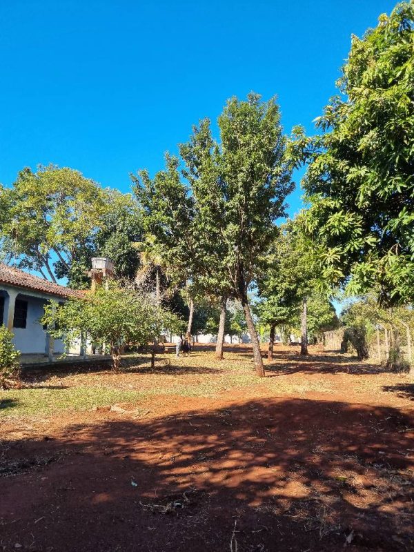 534281154_1310918307706522_8818852739682367864_n